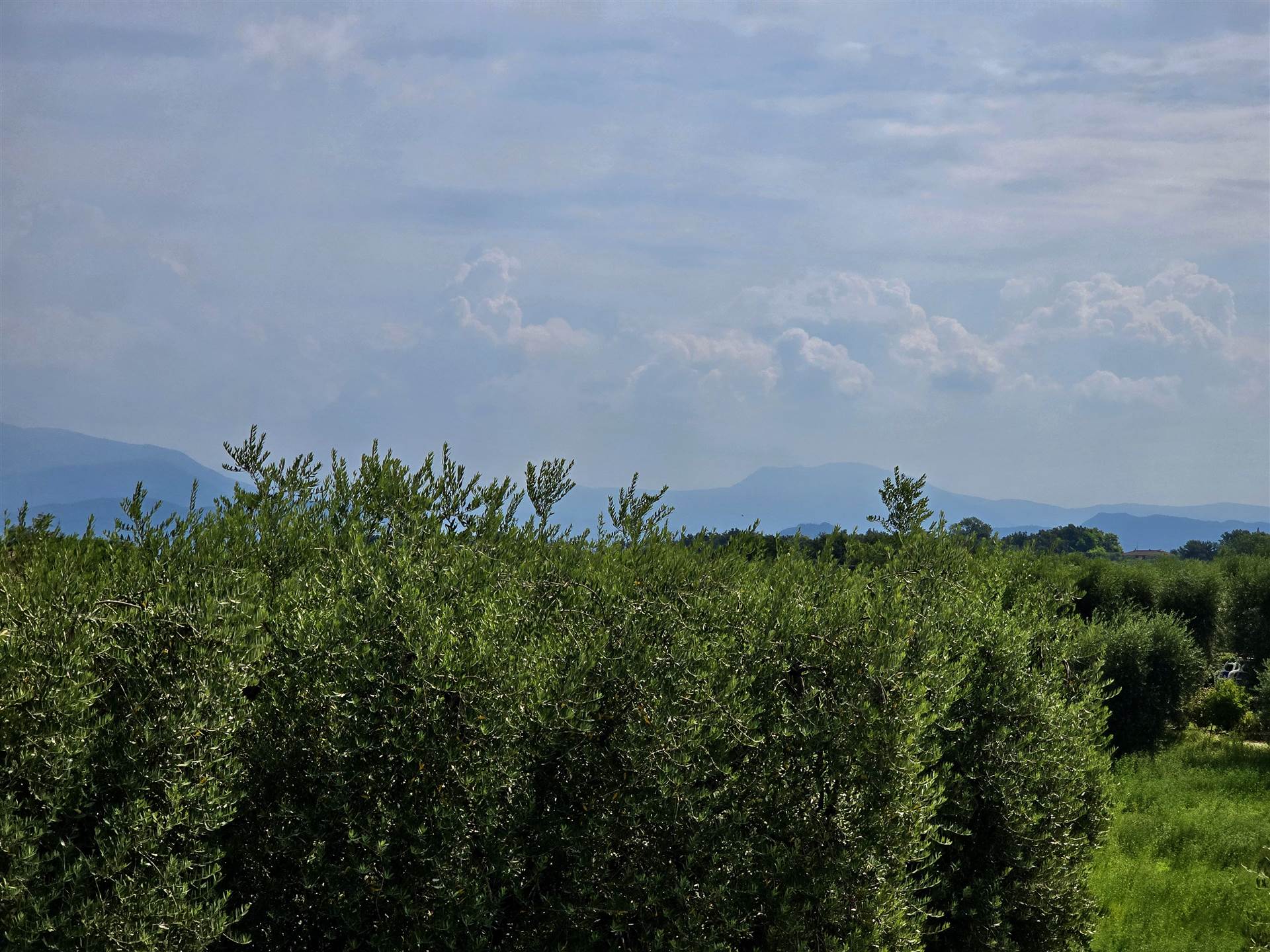 Panorama dal piano primo