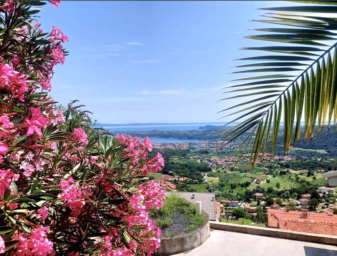 Panorama