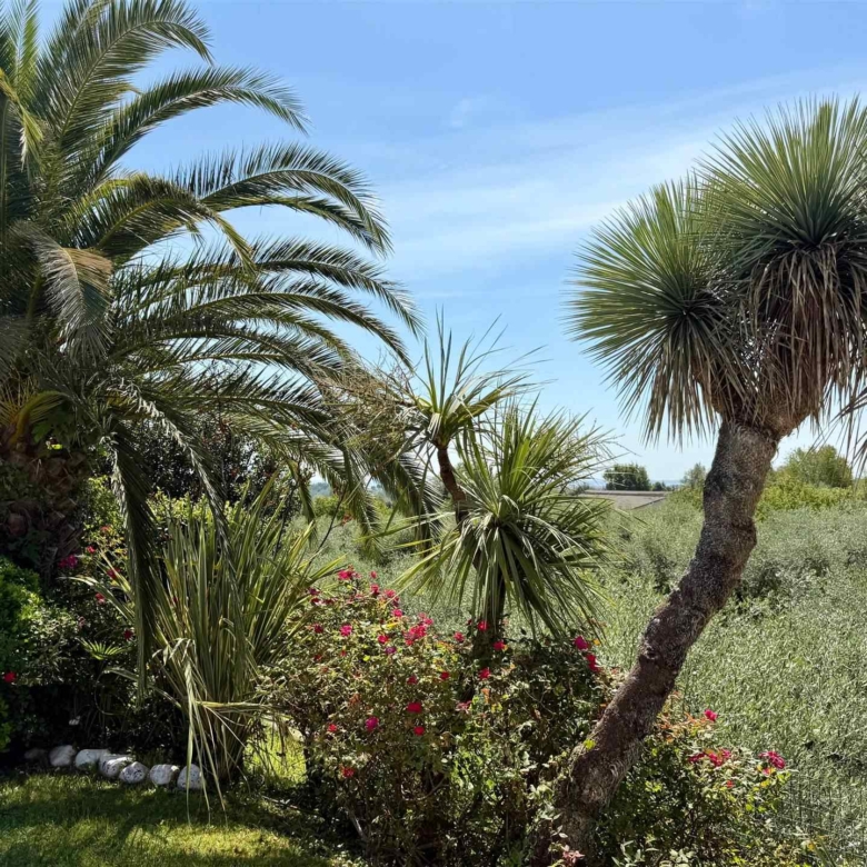 Villa unifamiliare con piscina e vista lago, Soiano Del Lago
