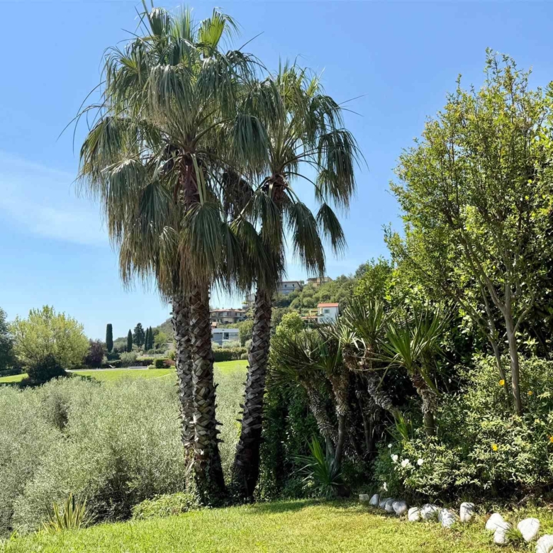 Villa unifamiliare con piscina e vista lago, Soiano Del Lago